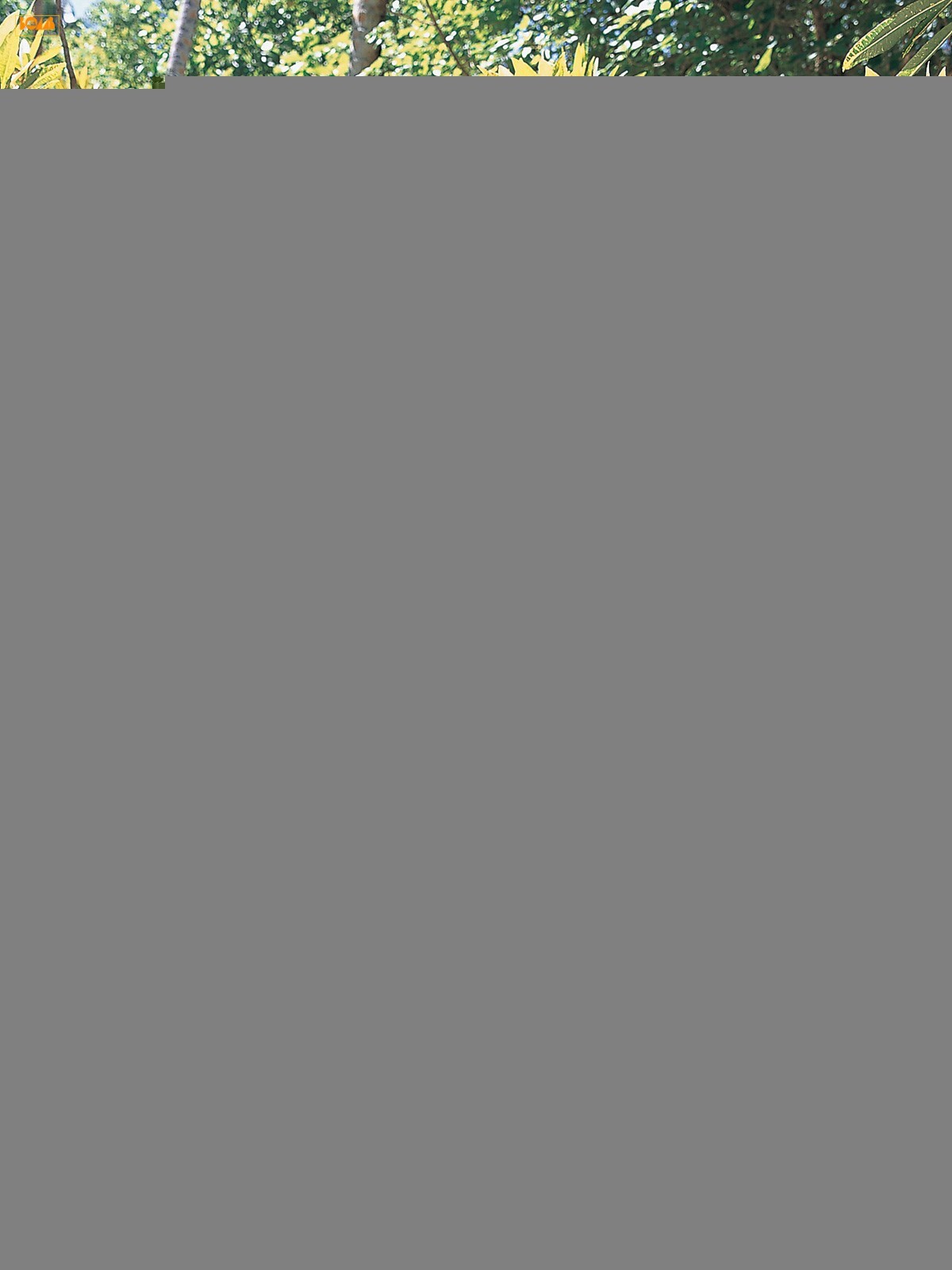 小野真弓 Mayumi Ono Bomb.tv光盘套图系列写真图片